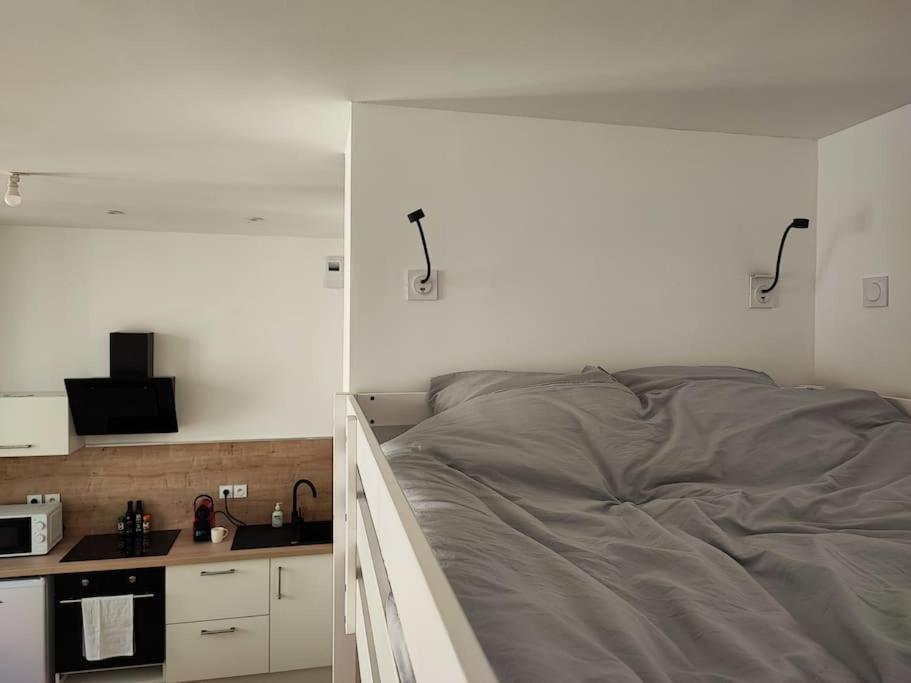 Apartmán Escale Entre Cite Et Bastide Clim Wifi Smart Tv Carcassonne Exteriér fotografie